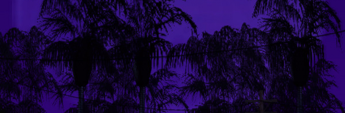 Sidney Ward Cover Image
