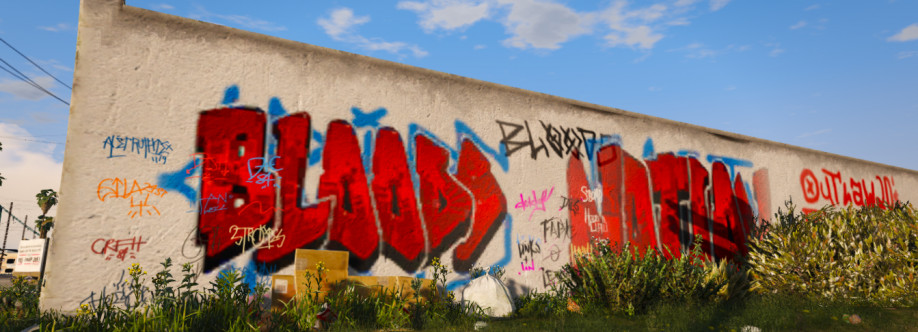 5Reg9 Cover Image